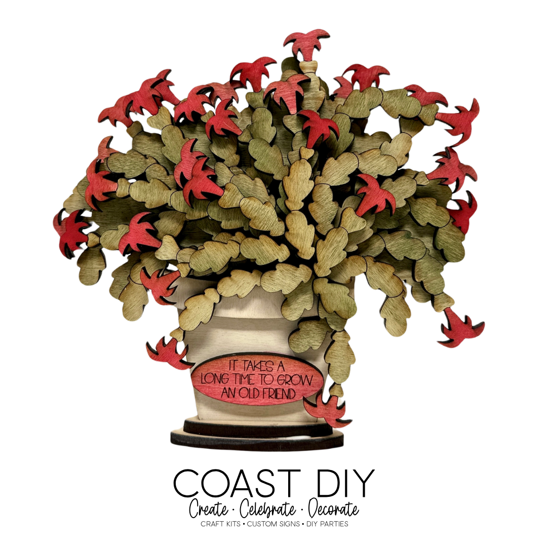 Potted Christmas Cactus Shelf Sitter Kit