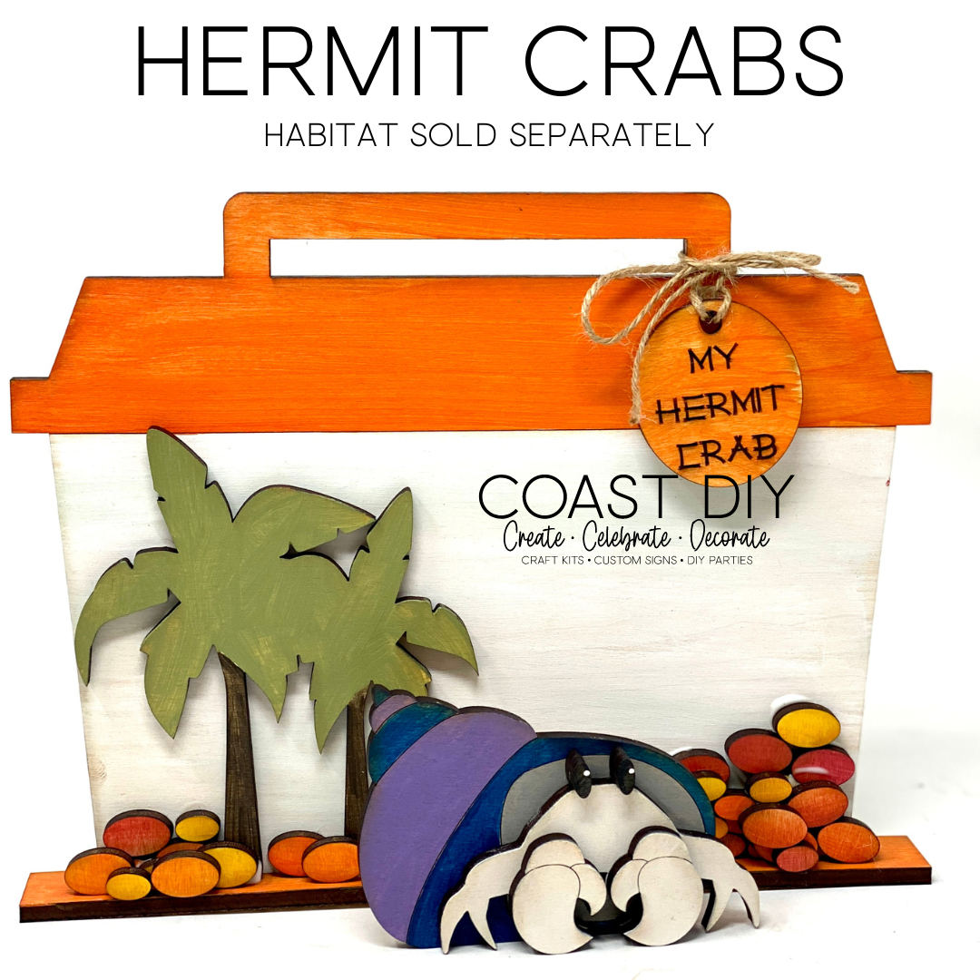 DIY Wooden Hermit Crab Craft Kit - Fun Activity for Kids and Adults