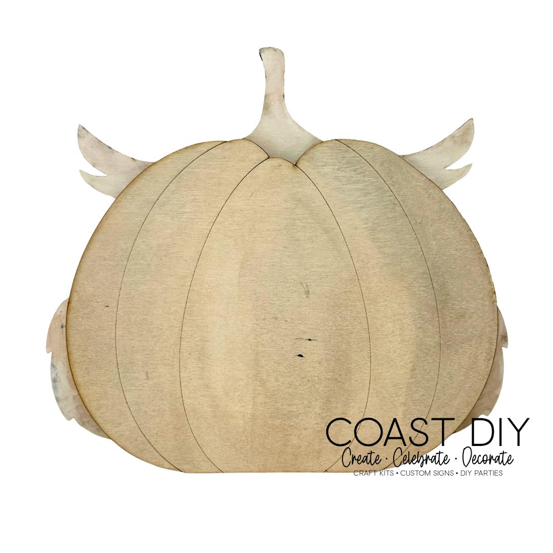 Owl Pumpkin DIY Craft Kit
