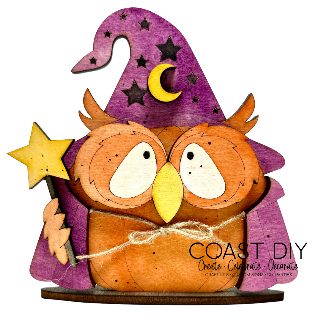 Wizard Owl Pumpkin DIY Craft Kit