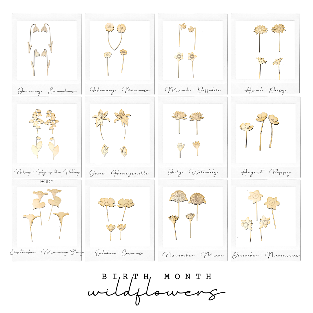 Custom Wildflower Mason Jar Craft Kit (Read Description)