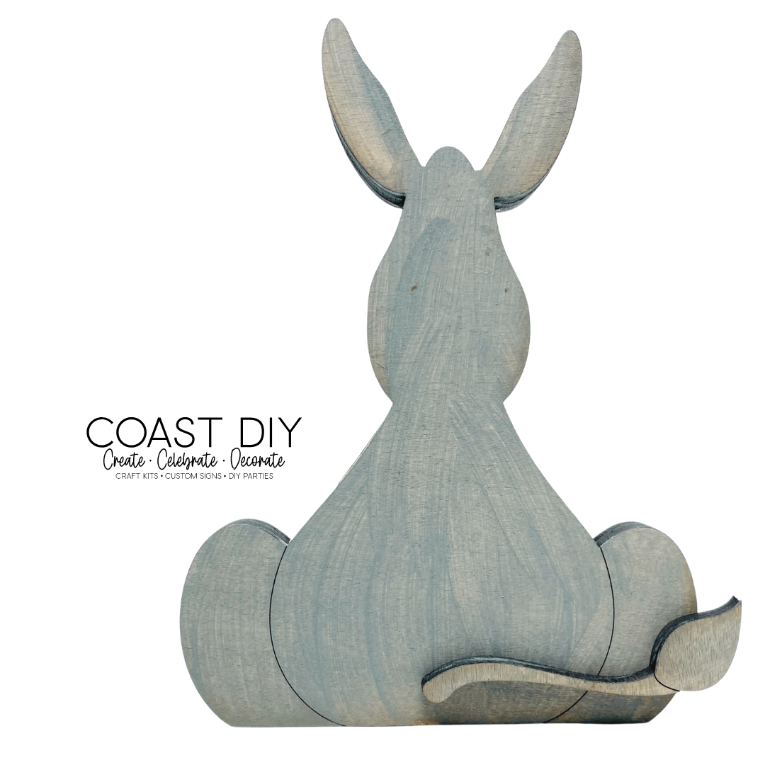 Donkey Craft Kit