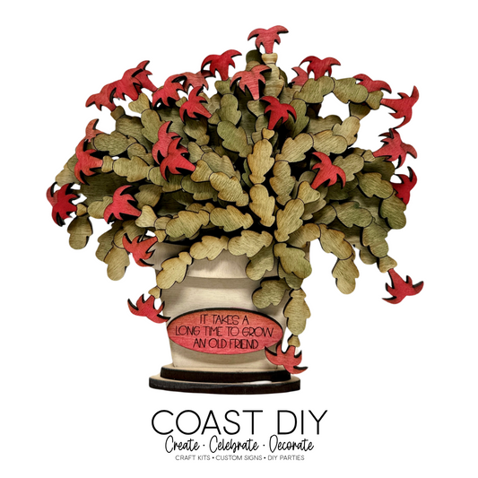 Potted Christmas Cactus Shelf Sitter Kit