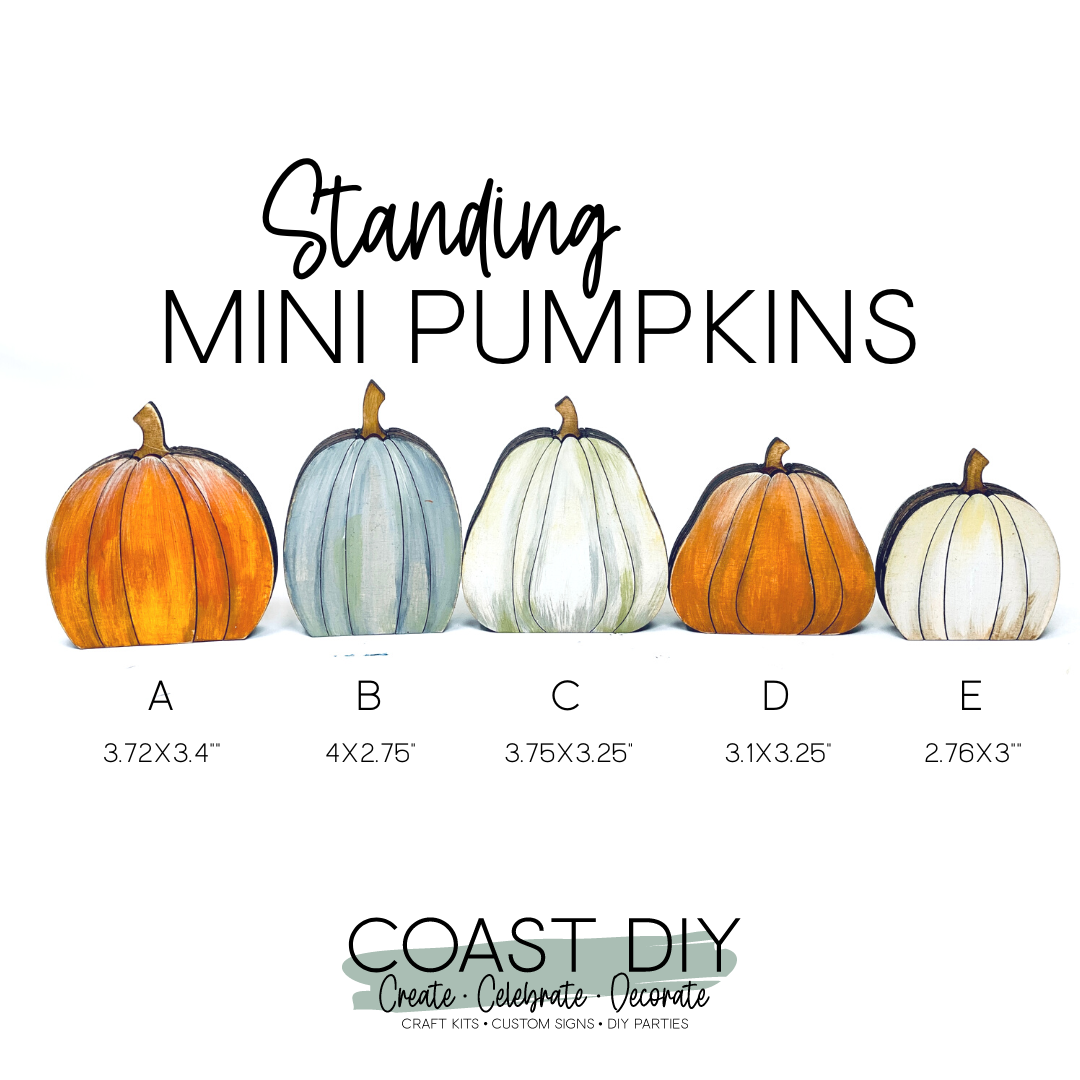 Set of 5 Mini Pumpkins