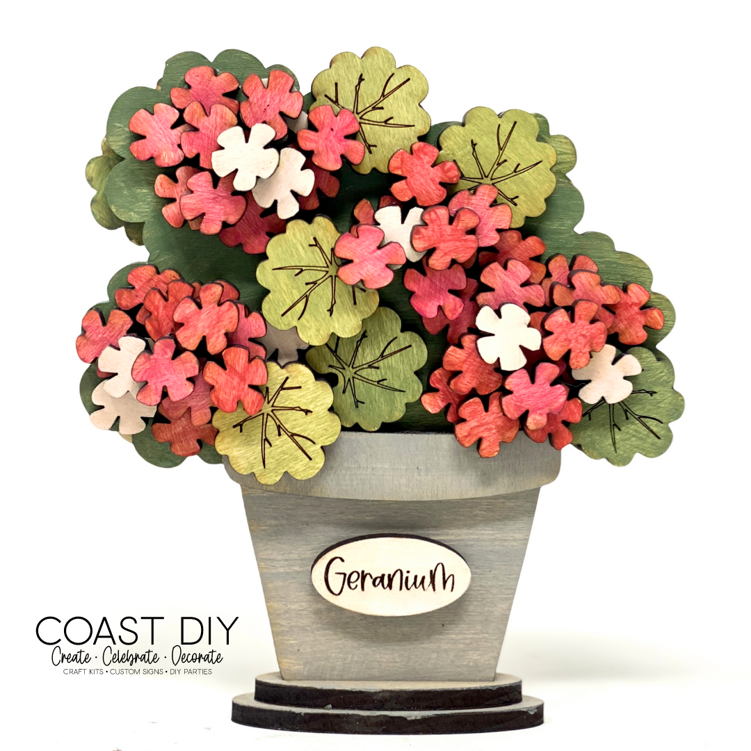 Potted Window Flowers