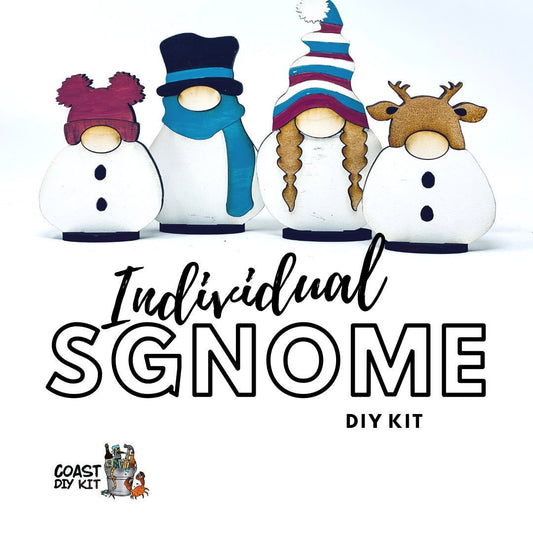Individual Sgnome Craft Kit