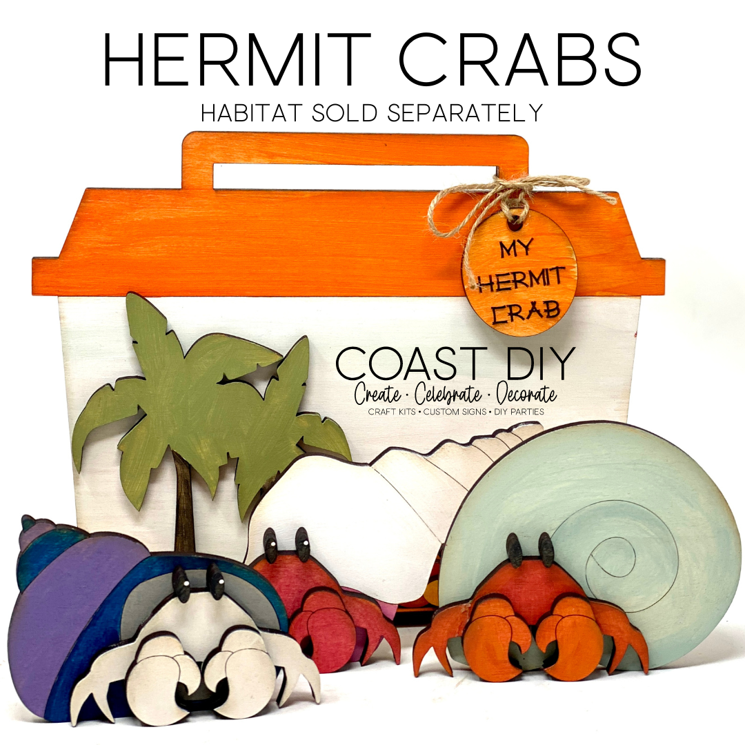 DIY Wooden Hermit Crab Craft Kit - Fun Activity for Kids and Adults