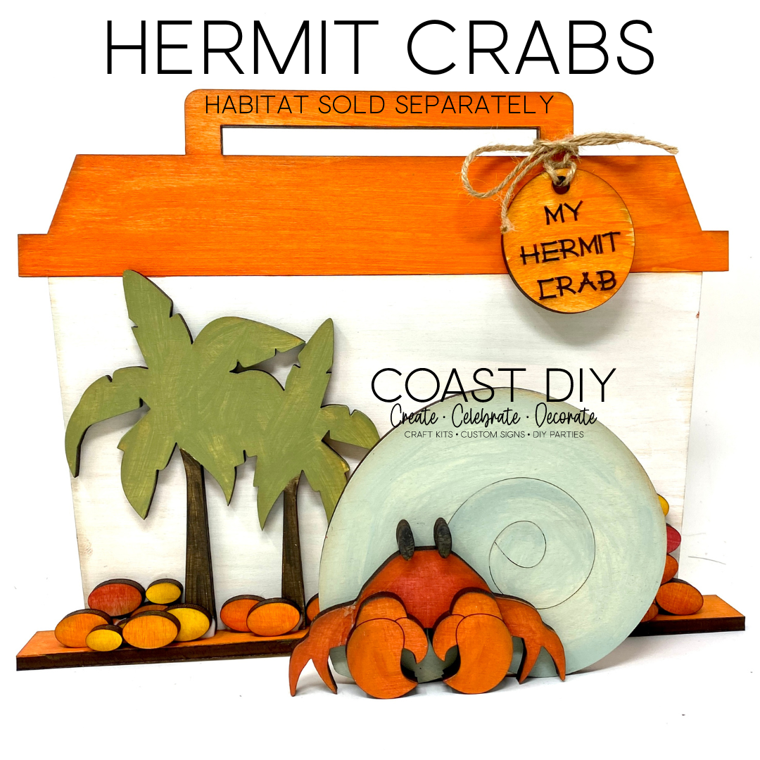DIY Wooden Hermit Crab Craft Kit - Fun Activity for Kids and Adults