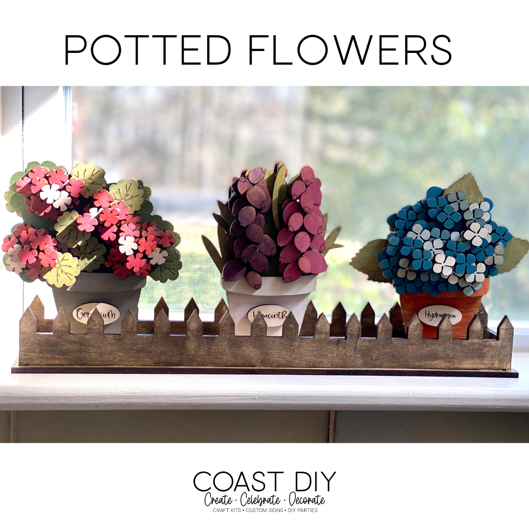 Potted Window Flowers