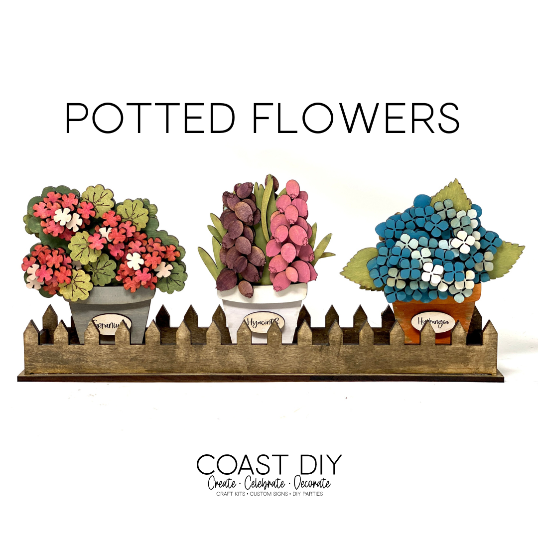 Potted Window Flowers