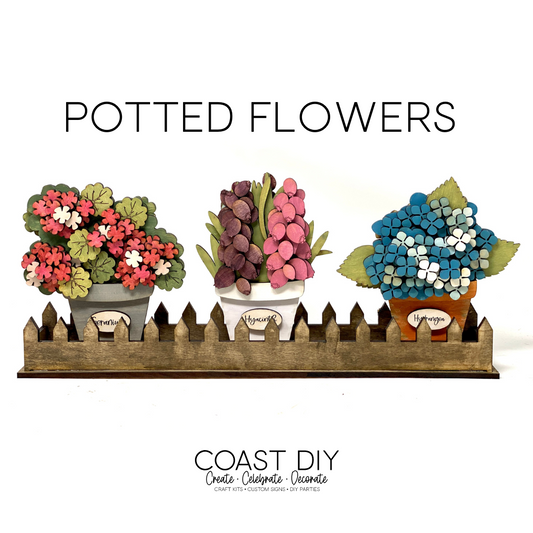 Potted Window Flowers